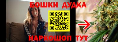 крисы Волгодонск