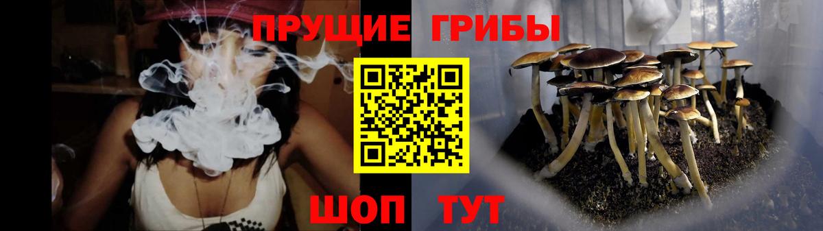 Псилоцибиновые грибы GOLDEN TEACHER  Псилоцибиновые грибы Psilocybe  Борисоглебск  Вход с VPN 